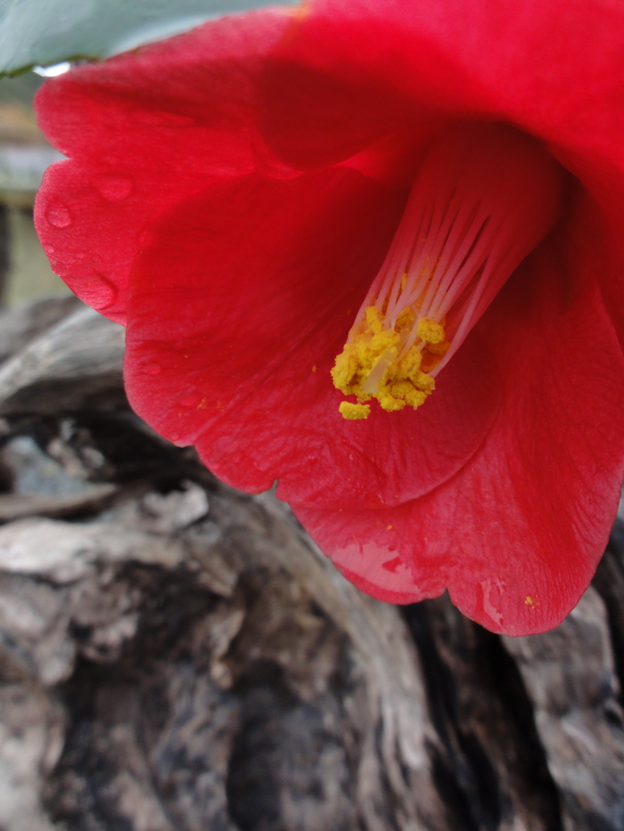 a0201496_0552550.jpg