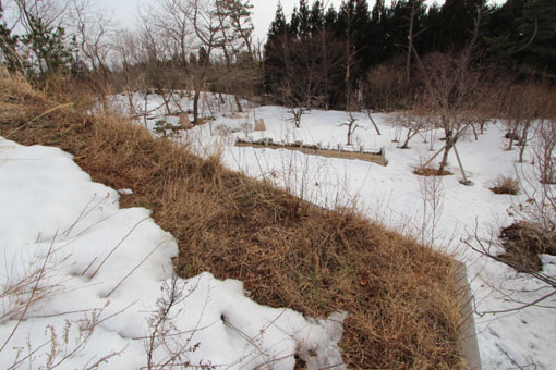 芝置屋根の雪_e0054299_14293350.jpg