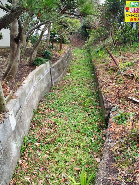 c0163001_0174161.jpg