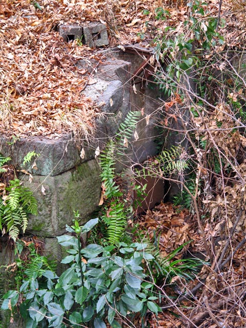c0163001_092317.jpg