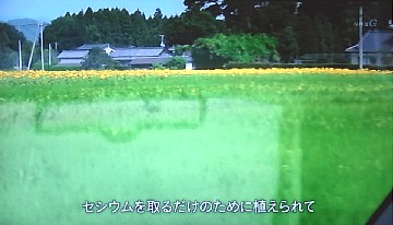 2012年3月9日（金） ； 雨_d0051601_12150.jpg