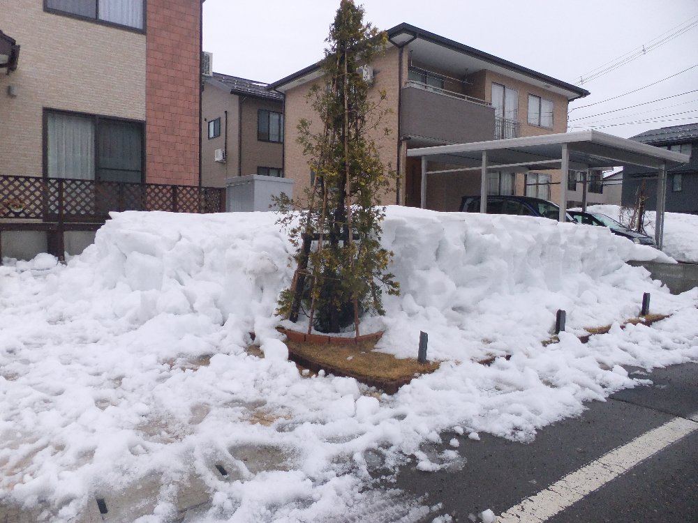 まだまだ残雪多し_e0087201_17462675.jpg