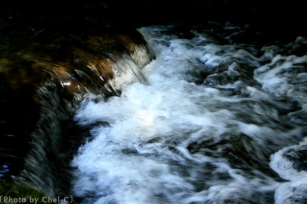 a0154706_25169.jpg