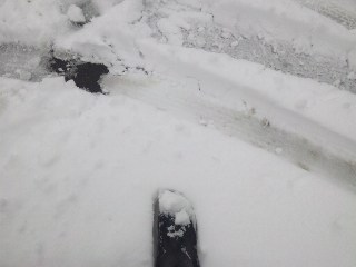 また雪・・・_d0099708_9515757.jpg