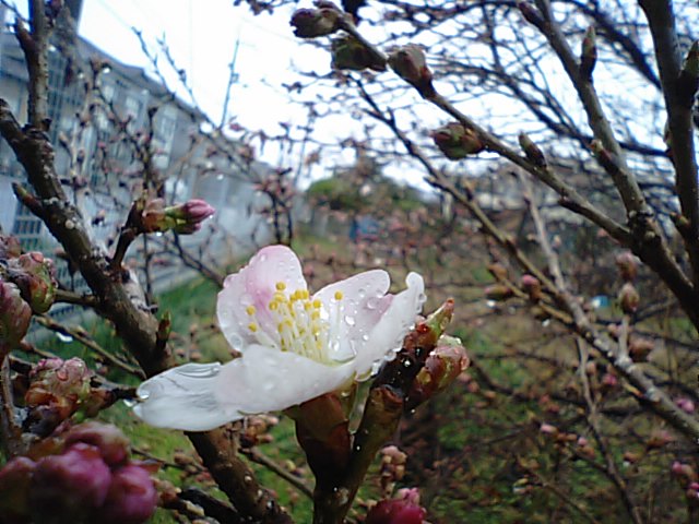f0231709_041086.jpg