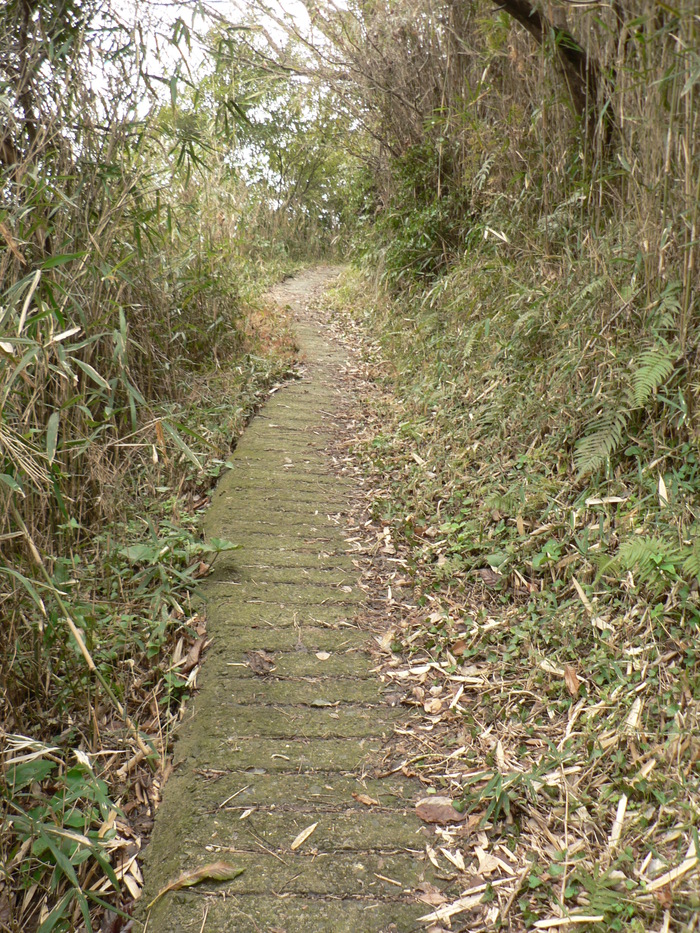 f0219710_9184773.jpg