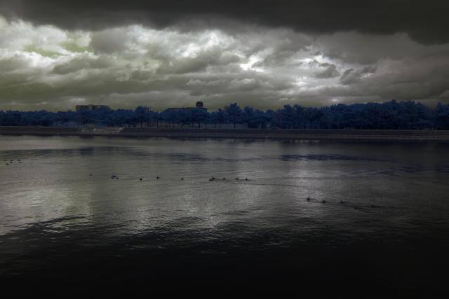 b0181620_855933.jpg