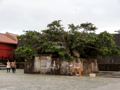 b0160123_1102711.gif