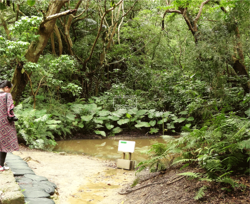 b0160123_1315656.gif