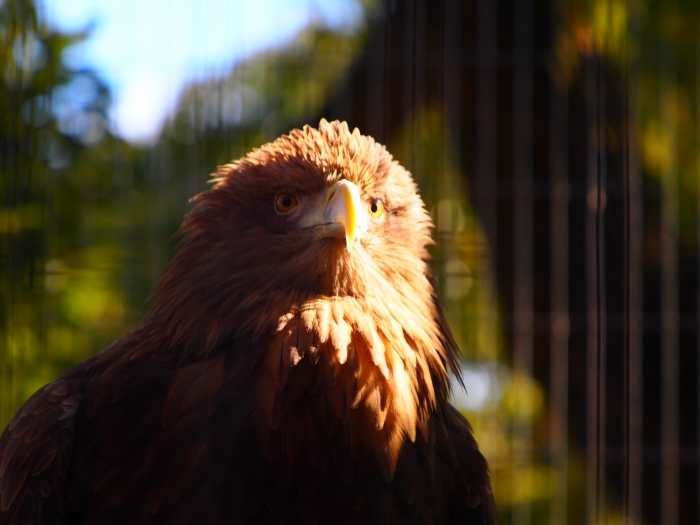 Fundraising forTOHOKUEarthquakeと　バブルの時代＆王子動物園　_d0252924_17282227.jpg