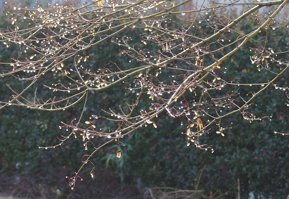 f0214527_21361619.jpg