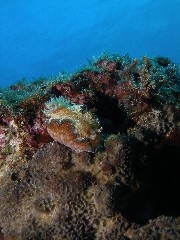 12.3.10 東海岸ボートに_b0100730_21482796.jpg