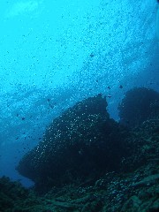 12.3.10 東海岸ボートに_b0100730_21495057.jpg