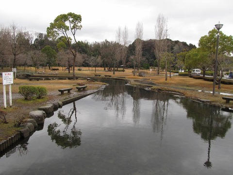 e0202031_236947.jpg