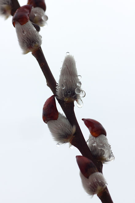c0067040_20134374.jpg