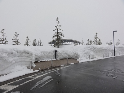 八色の森公園の大雪_a0084753_11565583.jpg