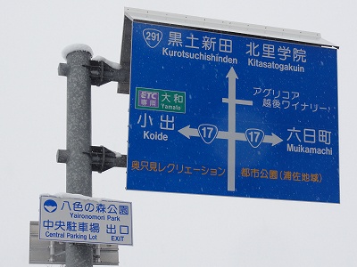 八色の森公園の大雪_a0084753_1157278.jpg