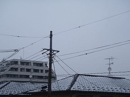 a0096557_9315073.jpg