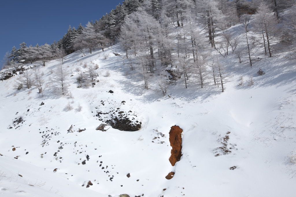 f0171065_1842481.jpg