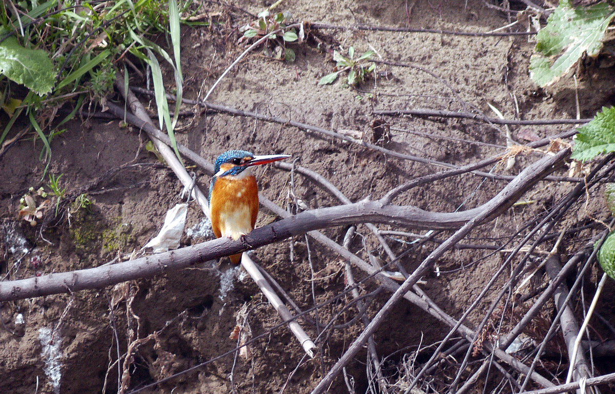 f0215767_17203216.jpg