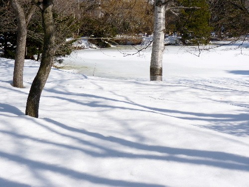 d0084473_21111793.jpg