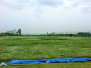 c0154876_16264222.jpg