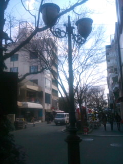 nillさん_c0246783_19502314.jpg