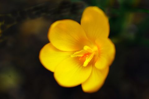 a0240085_1733321.jpg