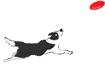 b0101991_11542713.gif