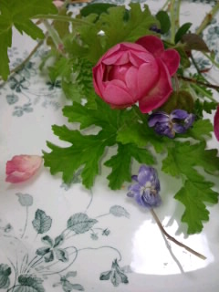 道_d0233891_15501020.jpg