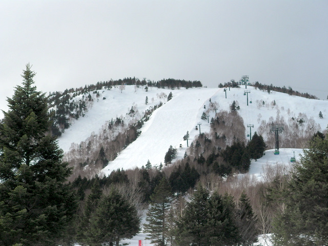 f0224506_23535512.jpg
