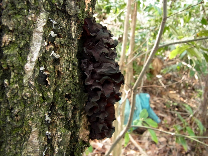 b0137208_0204100.jpg