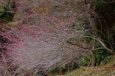 c0156908_22142737.jpg