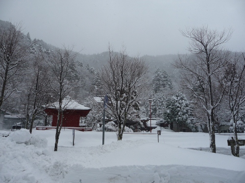 栃木県日光市　雪の華厳の滝 Part.1_c0197208_11303023.jpg