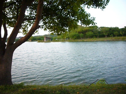 c0011009_441883.jpg