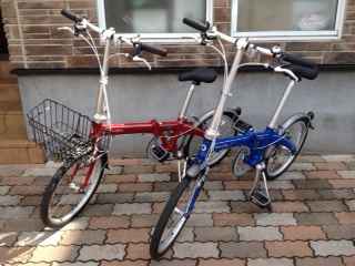 Dahon ez basket store