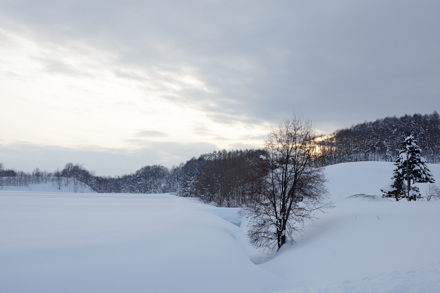 酷寒撮影行の帰り道_c0073613_22183780.jpg