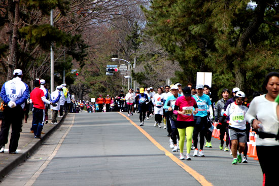 京都マラソン2011_e0048413_20213632.jpg