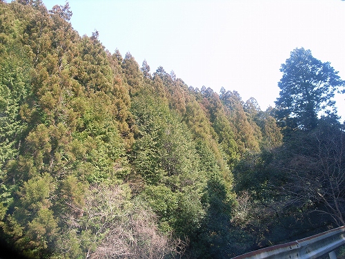 b0225620_23401459.jpg