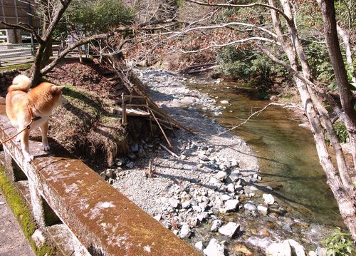 b0225620_23412085.jpg