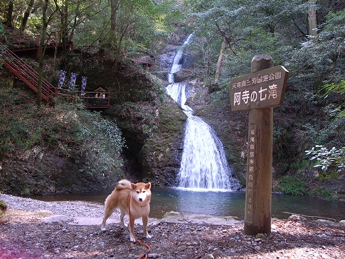 b0225620_23443857.jpg