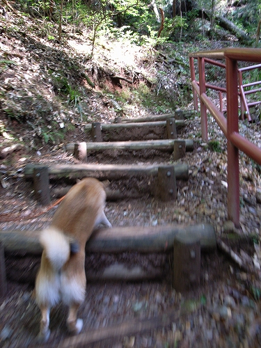 b0225620_23451690.jpg
