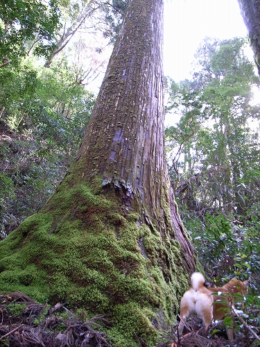b0225620_23464640.jpg