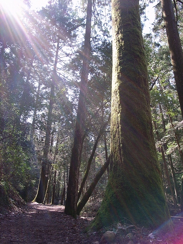 b0225620_23472456.jpg
