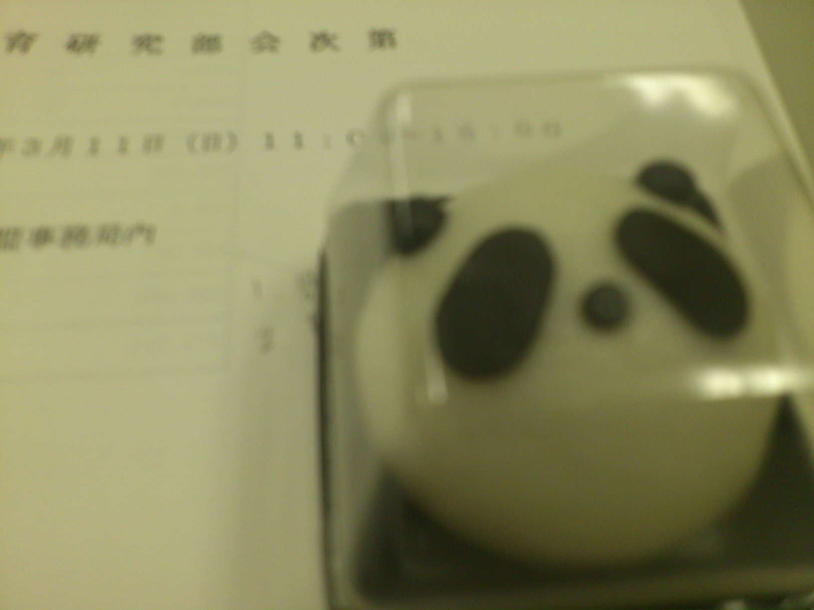 会議_e0124021_1585345.jpg