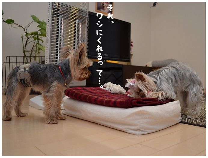 デート(後編) おもちゃで遊ぼう~2ショット写真_d0179828_22525852.jpg