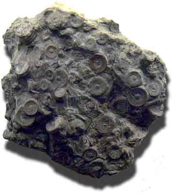 b0003330_22355.jpg