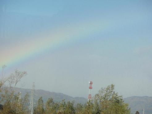 三月十一日に...　　　～　あれから一年_b0150335_19495955.jpg