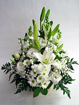 a0135840_9374049.jpg