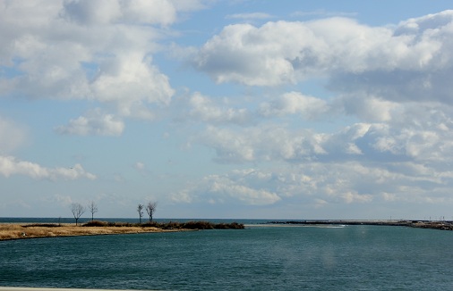 a0054647_834116.jpg